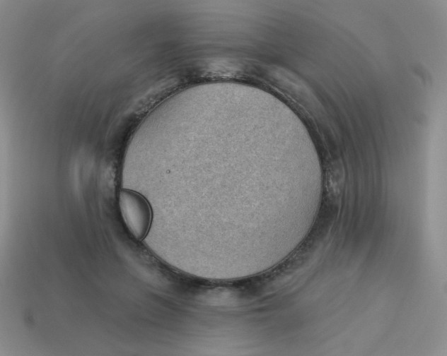 X0000113900551200910151358