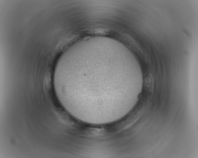 X0000113900552200910151358