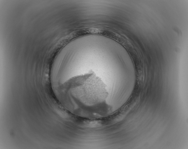 X0000113900553200910151358