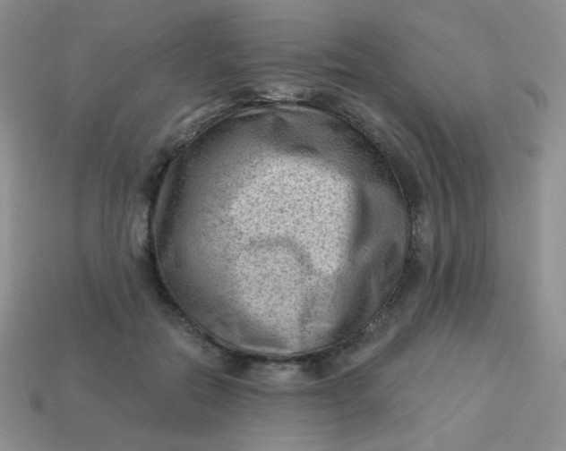 X0000113900554200910151358