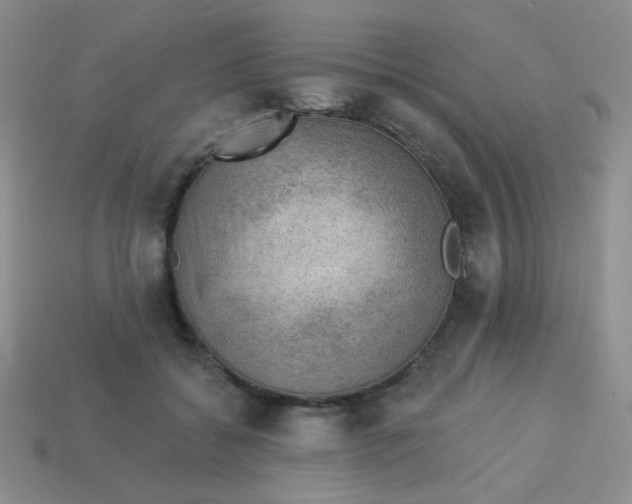 X0000113900556200910151358