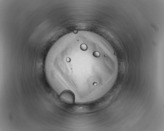 X0000113900557200910151358