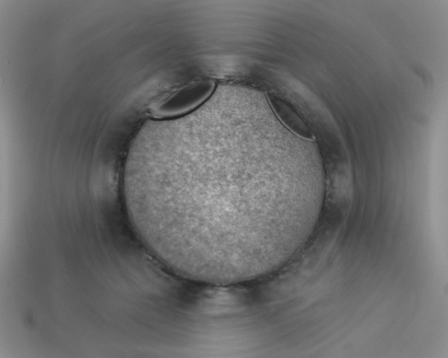 X0000113900558200910151358