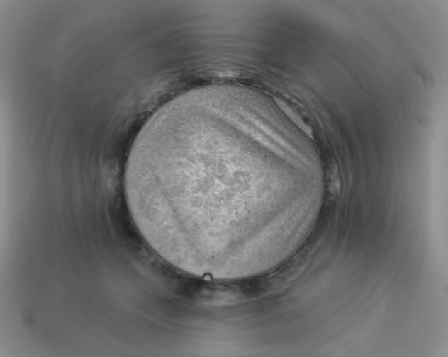 X0000113900559200910151358