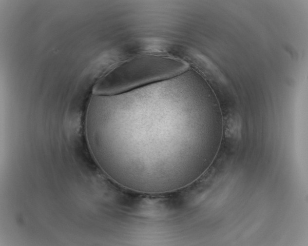 X0000113900560200910151358