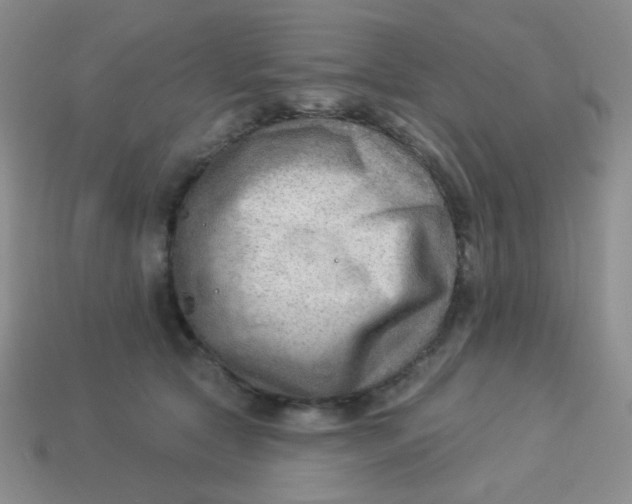 X0000113900561200910151358