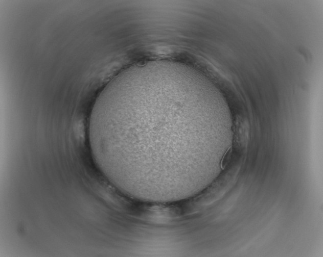 X0000113900562200910151358