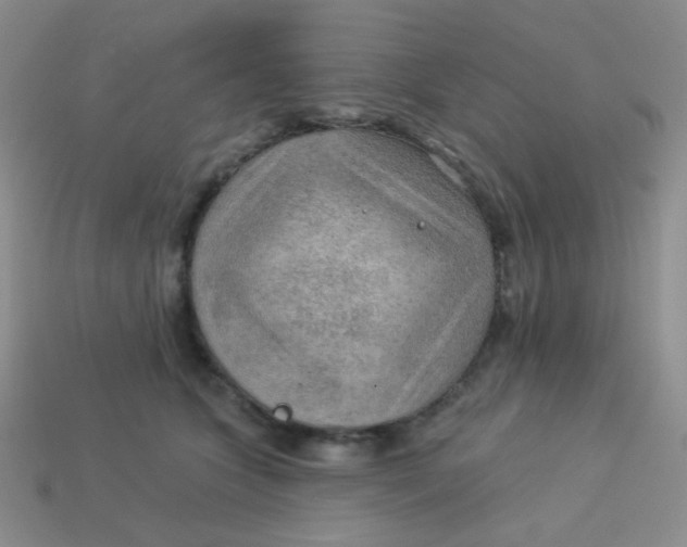 X0000113900563200910151358