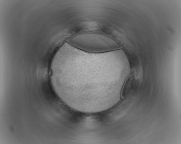 X0000113900564200910151358