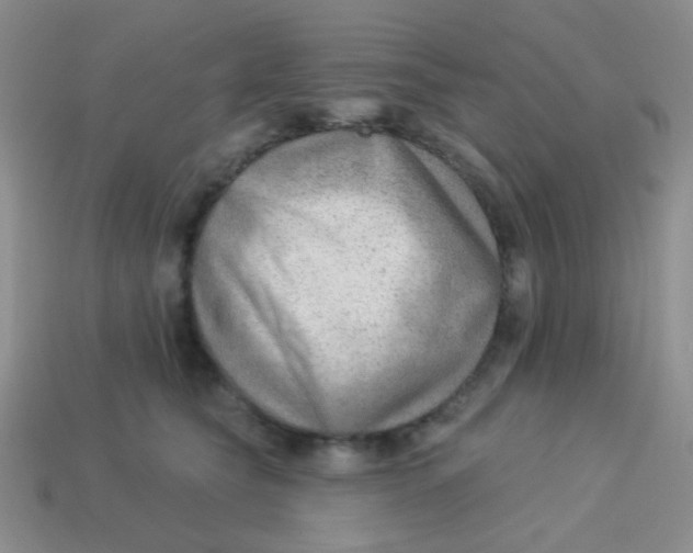 X0000113900565200910151358