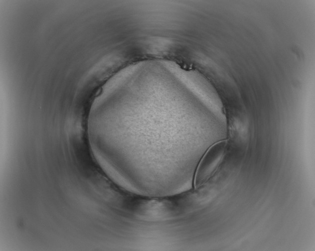 X0000113900566200910151358