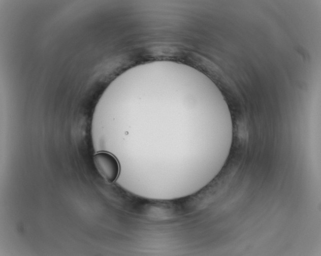 X0000113900567200910151358