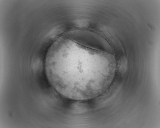 X0000113900568200910151358