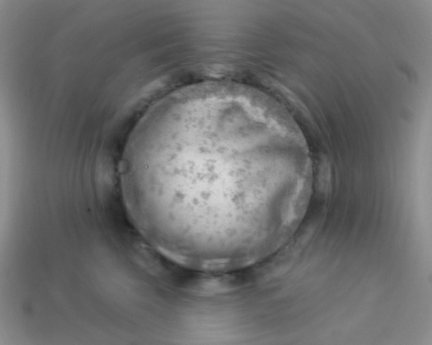 X0000113900569200910151358