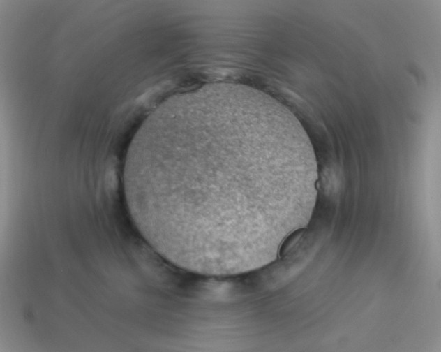 X0000113900570200910151358