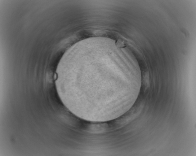 X0000113900571200910151358