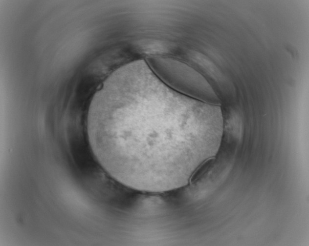 X0000113900572200910151358