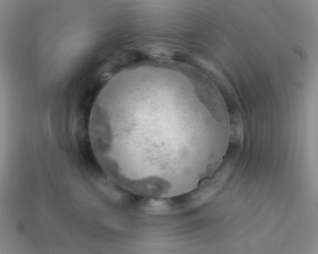 X0000113900573200910151358