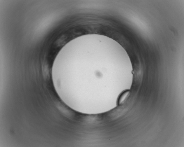 X0000113900574200910151358