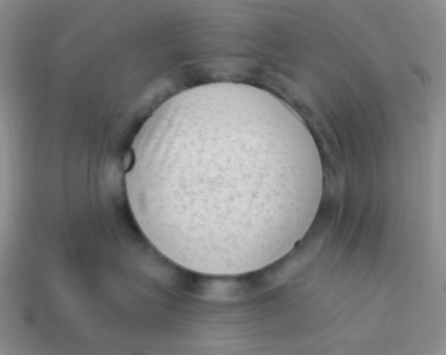 X0000113900575200910151358