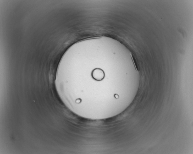 X0000113900576200910151358