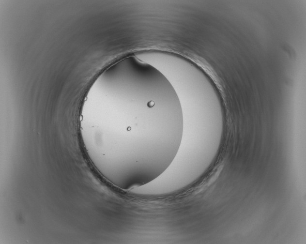 X0000113900577200910151358