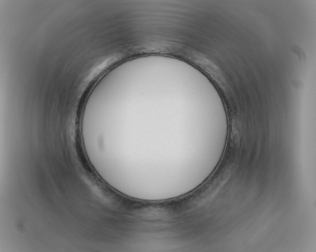 X0000113900578200910151358