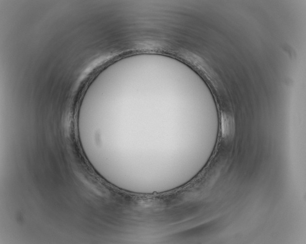 X0000113900579200910151358