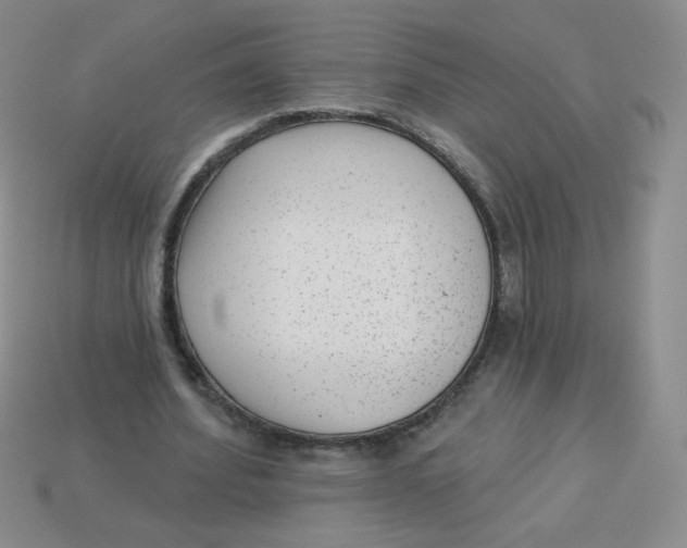 X0000113900580200910151358