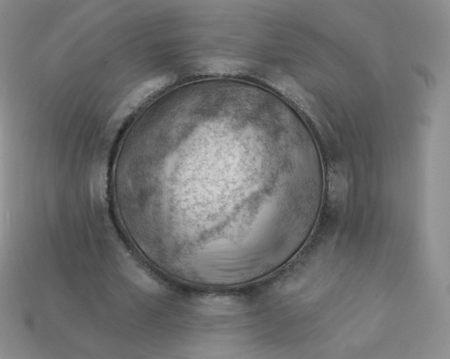 X0000113900581200910151357