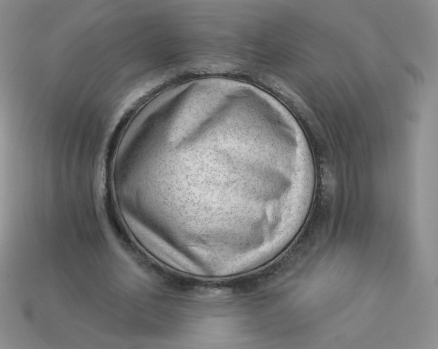 X0000113900582200910151357