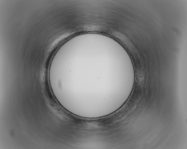 X0000113900583200910151357