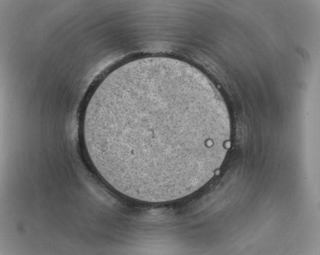 X0000113900584200910151357