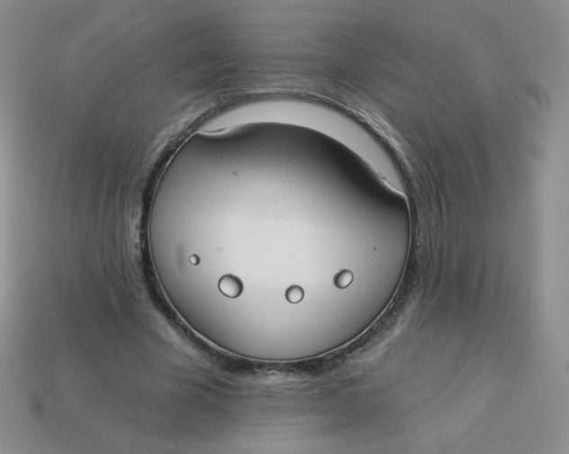 X0000113900585200910151357