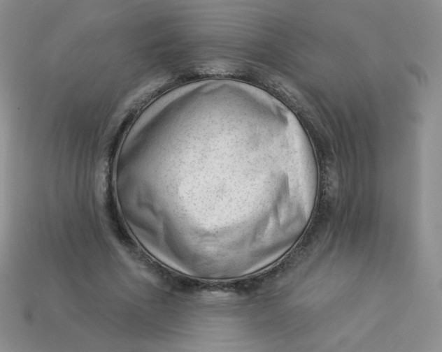 X0000113900586200910151357