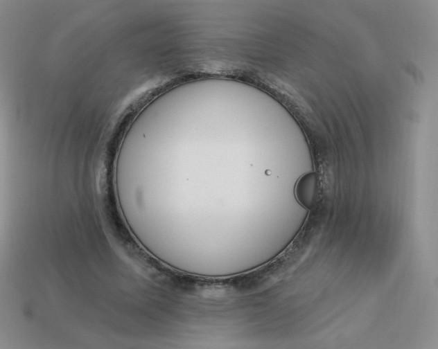 X0000113900587200910151357