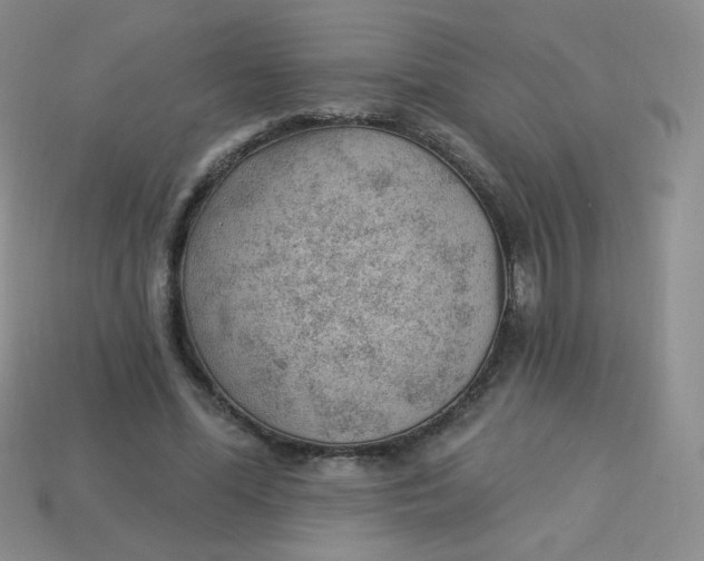 X0000113900588200910151357