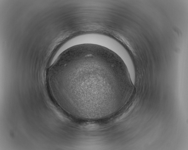 X0000113900589200910151357