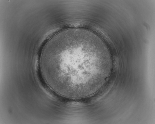 X0000113900590200910151357