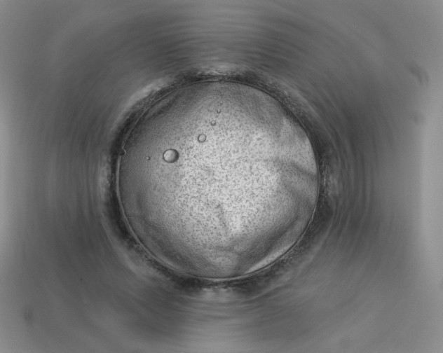 X0000113900591200910151357