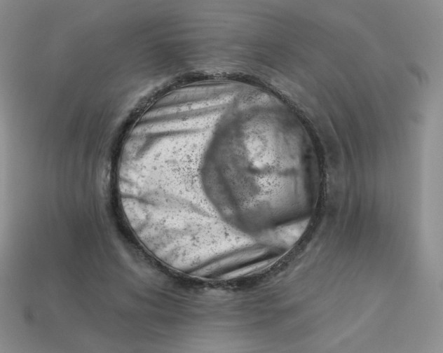 X0000113900592200910151357