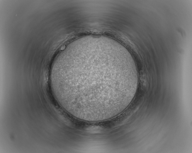 X0000113900593200910151357