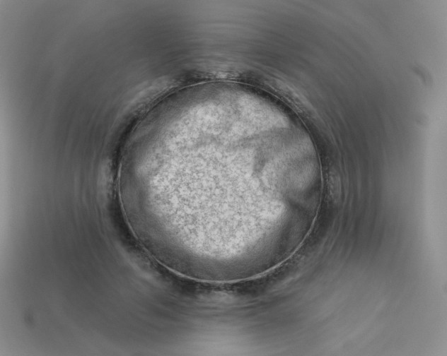 X0000113900594200910151357