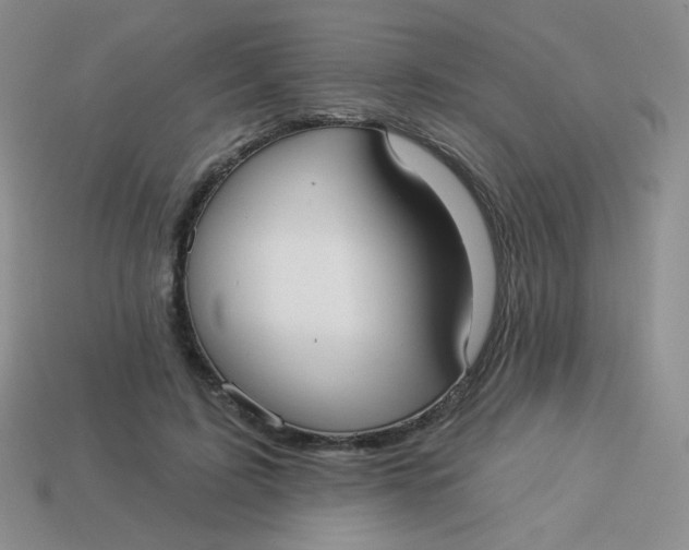 X0000113900595200910151357