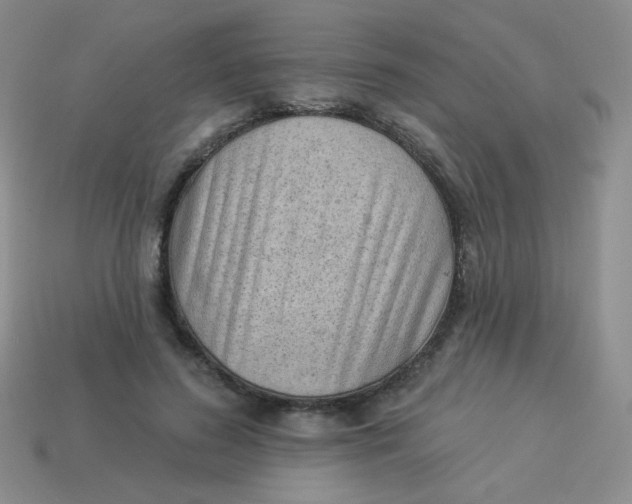 X0000113900596200910151357