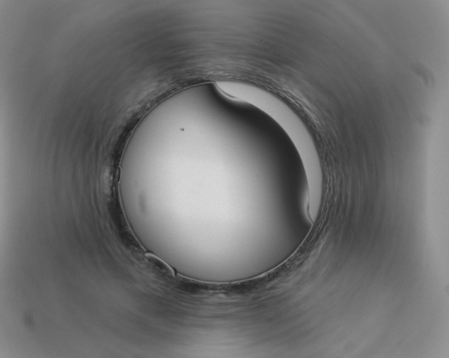 X0000113900597200910151357