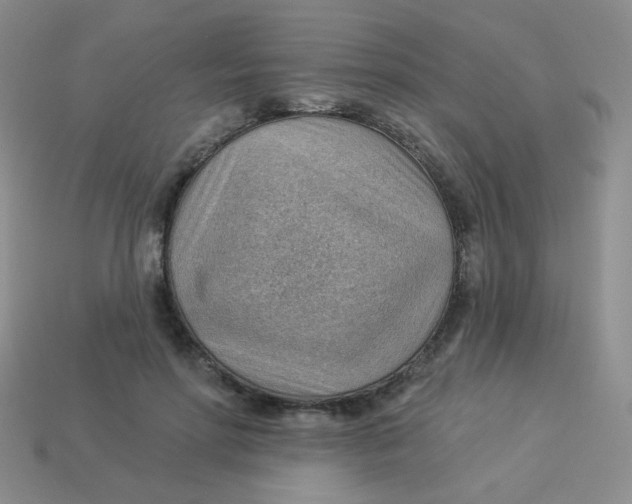 X0000113900598200910151357