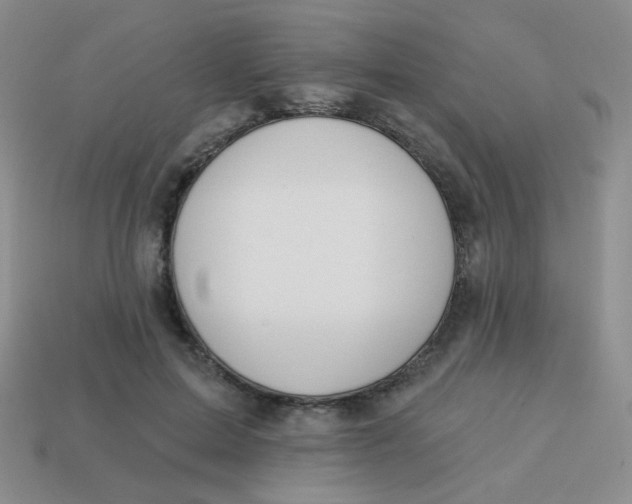 X0000113900599200910151357