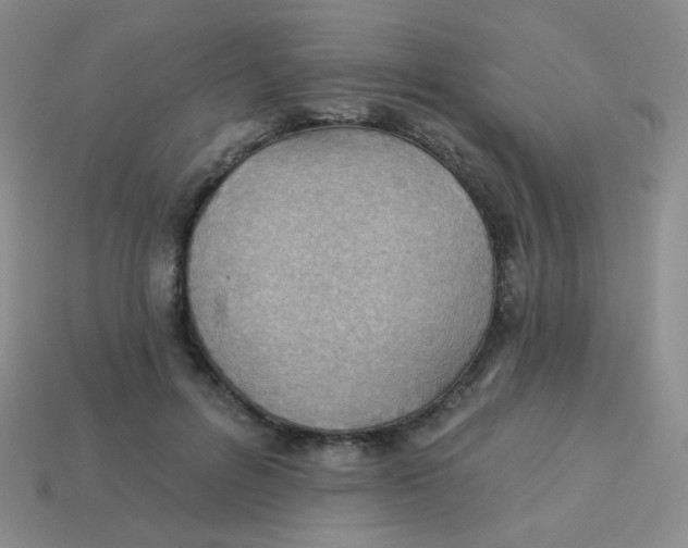 X0000113900600200910151357