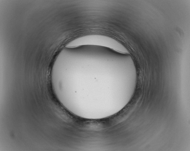 X0000113900601200910151357